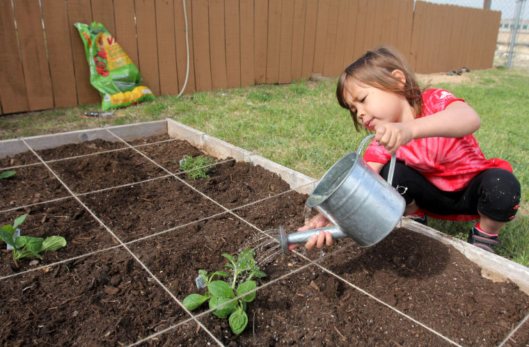 Gardening